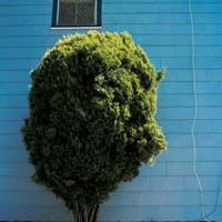 gal/Untitled (Project)/_thb_014.jpg